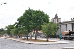 Obras na Avenida das Amendoeiras ampliam presença da Prefeitura na Grande Alegria