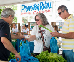 DOMINGO RURAL É OPÇÃO DE BOAS COMPRAS DURANTE O FERIADÃO
