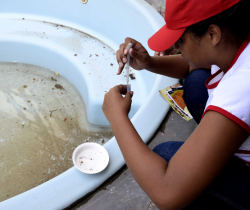 SEGUNDO MUTIRÃO CONTRA DENGUE ATENDERÁ MAIS QUATRO BAIRROS NESTE FIM DE SEMANA