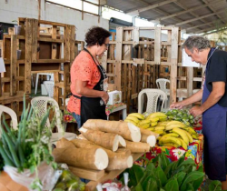 ÚLTIMA EDIÇÃO DO DOMINGO RURAL DE 2018 CONTARÁ COM A PRESENÇA DE PAPAI NOEL