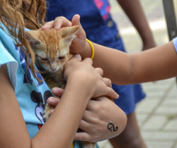 CCZ PROMOVE FEIRA DE ADOÇÃO DE ANIMAIS NO PARQUE DAS ÁGUAS, NESTE DOMINGO