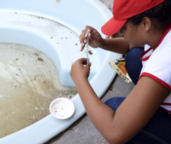 MUTIRÃO DA DENGUE CHEGARÁ A MAIS TRÊS BAIRROS NESTE FINAL DE SEMANA