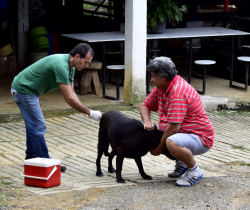 CCZ DIVULGA CALENDÁRIO PARCIAL DA CAMPANHA DE VACINAÇÃO ANTIRRÁBICA
