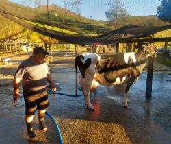 TORNEIO LEITEIRO DE CURRAL CHEGA A MAIS UMA EDIÇÃO NA ZONA RURAL DE RESENDE