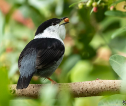 MAM RESENDE ABRIRÁ EXPOSIÇÃO FOTOGRÁFICA “SABERES DA NATUREZA” NESTA QUINTA