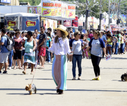 CCZ VAI DISTRIBUIR SENHAS PARA CASTRAÇÃO DE ANIMAIS PELO SEGUNDO ANO CONSECUTIVO NA EXAPICOR