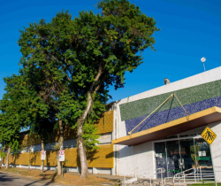 SEMANA DA ÁRVORE SERÁ REALIZADA NA PRÓXIMA SEMANA EM RESENDE