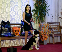 INSCRIÇÕES PARA O ‘CONCURSO PET EXAPICOR 2019’ TERMINAM NO PRÓXIMO DIA 4