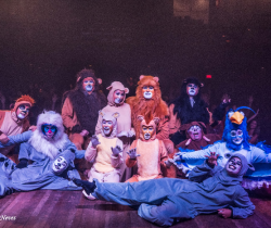 EXAPICOR 2019 TERÁ MUSICAL “O REI LEÃO” COMO PRINCIPAL ATRAÇÃO INFANTIL NESTE SÁBADO, DIA 5