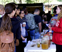 TERCEIRA EDIÇÃO DE ‘TALENTOS NO PARQUE’ SERÁ REALIZADA NO PARQUE TOBOGÃ