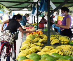 'FEIRA LIVRE’ ACONTECE NESTE DOMINGO NA ÁREA DE EXPOSIÇÕES 