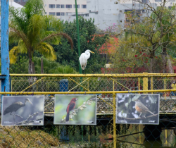 CELEBRAÇÕES PELOS 20 ANOS DO PARQUE DAS ÁGUAS INCLUEM DESCARTE DE ELETROELETRÔNICOS E LIVE