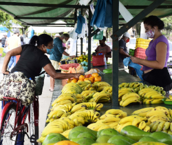 PREFEITURA DE RESENDE REALIZA MAIS UMA EDIÇÃO DA ‘FEIRA LIVRE’ NESTE DOMINGO, DIA 26