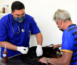 HOSPITAL VETERINÁRIO DE RESENDE REGISTRA MAIS DE 8 MIL CÃES E GATOS ATENDIDOS NOS PRIMEIROS TRÊS MESES DE IMPLANTAÇÃO