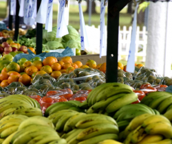 TRADICIONAL ‘FEIRA LIVRE’ DE RESENDE TRAZ OPORTUNIDADE DE COMPRAS DE NATAL NESTE DOMINGO