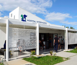 RETROSPECTIVA 2020: HOSPITAL VETERINÁRIO PÚBLICO DE RESENDE REGISTRA MAIS DE 11 MIL ATENDIMENTOS