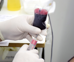 HEMONÚCLEO DE RESENDE RECOMENDA DOAÇÃO DE SANGUE ANTES DE SER VACINADO CONTRA A COVID-19