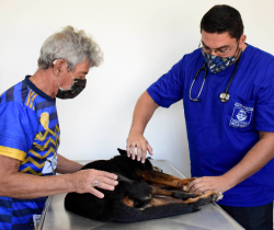 HOSPITAL VETERINÁRIO PÚBLICO DE RESENDE COMPLETA SEIS MESES DE FUNCIONAMENTO