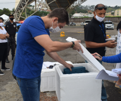 RESENDE RECEBE NOVA REMESSA DE VACINAS CONTRA A COVID-19