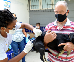 PREFEITURA DE RESENDE VACINARÁ CÃES E GATOS CONTRA A RAIVA NESTE SÁBADO, DIA 29 DE MAIO