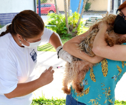 PREFEITURA DE RESENDE IMUNIZARÁ CÃES E GATOS CONTRA A RAIVA NO PRÓXIMO DIA 26 DE JUNHO