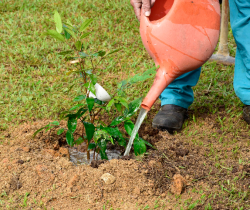 RESENDE PARTICIPA DE REUNIÃO PARA EFETIVAR O PROGRAMA MUNICIPAL DE EDUCAÇÃO AMBIENTAL - PROMEA
