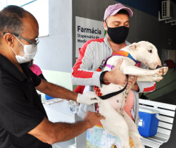 CAMPANHA DE VACINAÇÃO ANTIRRÁBICA ANIMAL 2021 SERÁ REALIZADA EM MAUÁ NESTE SÁBADO, DIA 24