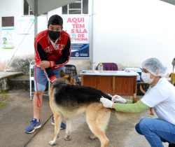 RESENDE VACINA CÃES E GATOS CONTRA A RAIVA NESTE SÁBADO, DIA 25, NOS DISTRITOS DE ENGENHEIRO PASSOS E BULHÕES