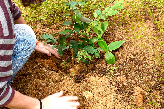 RESENDE PARTICIPA DE CURSO DE FORMAÇÃO PARA ELABORAÇÃO DO PROGRAMA MUNICIPAL DE EDUCAÇÃO AMBIENTAL (PROMEA)