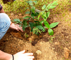 RESENDE PARTICIPA DE CURSO DE FORMAÇÃO PARA ELABORAÇÃO DO PROGRAMA MUNICIPAL DE EDUCAÇÃO AMBIENTAL (PROMEA)