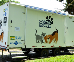 CASTRAMÓVEL DE RESENDE CHEGA A VISCONDE DE MAUÁ E REALIZA TRIAGEM DE ANIMAIS