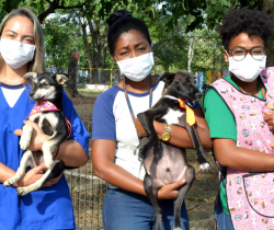 EM 2021, RESENDE SE REAFIRMA COMO MUNICÍPIO QUE CUIDA COM CARINHO E QUALIDADE DA SAÚDE ANIMAL