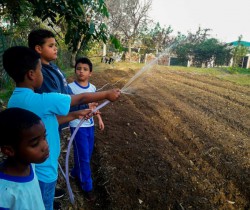PROJETO “NOSSA HORTA NA ESCOLA” BENEFICIA DUAS UNIDADES DA REDE MUNICIPAL DE ENSINO