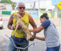 VACINAÇÃO ANTIRRÁBICA SERÁ REALIZADA EM DIVERSAS LOCALIDADES DE RESENDE NESTE SÁBADO (14)