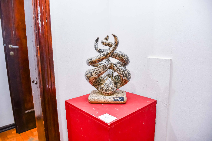 SALÃO DAS ARTES AGULHAS NEGRAS É PRORROGADO ATÉ 25 DE JULHO NO MAM RESENDE