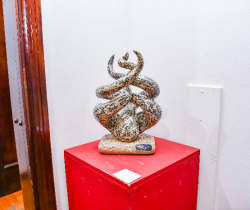 SALÃO DAS ARTES AGULHAS NEGRAS É PRORROGADO ATÉ 25 DE JULHO NO MAM RESENDE