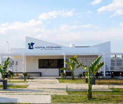 HOSPITAL VETERINÁRIO DE RESENDE ALCANÇA 150 MIL ATENDIMENTOS ÀS VÉSPERAS DE COMPLETAR CINCO ANOS