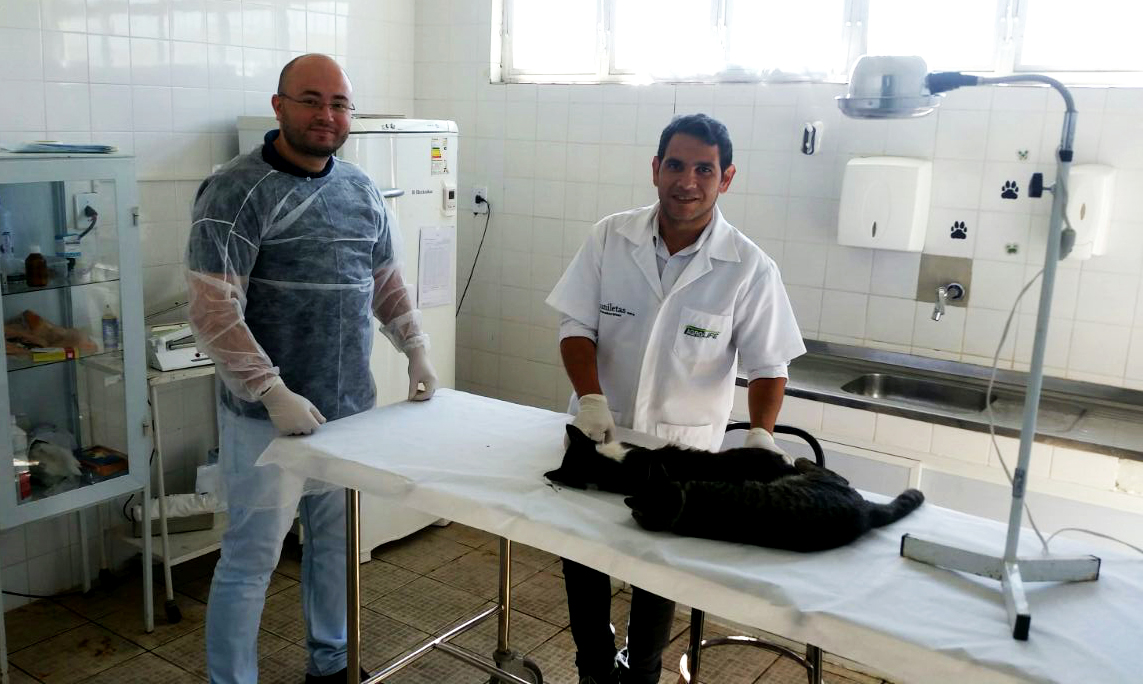 Prefeitura começa a segunda fase de castração de cães e gatos
