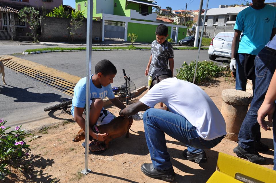 Resende imuniza cães e gatos contra raiva