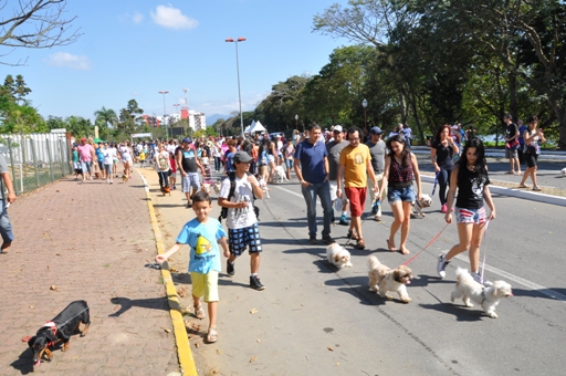 Caminhada do Amicão acontece neste domingo