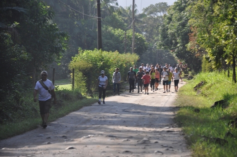 ‘Caminhada na Natureza’ acontece neste domingo na Serrinha do Alambari 