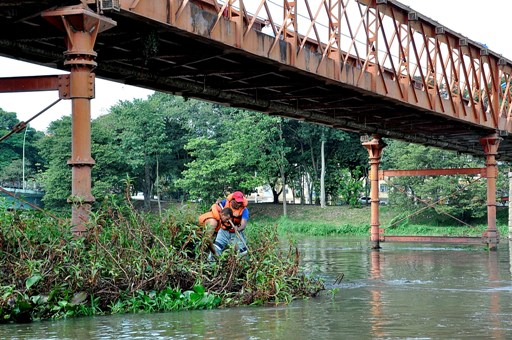 Defesa Civil faz limpeza preventiva nos pilares de pontes sobre rio Paraíba