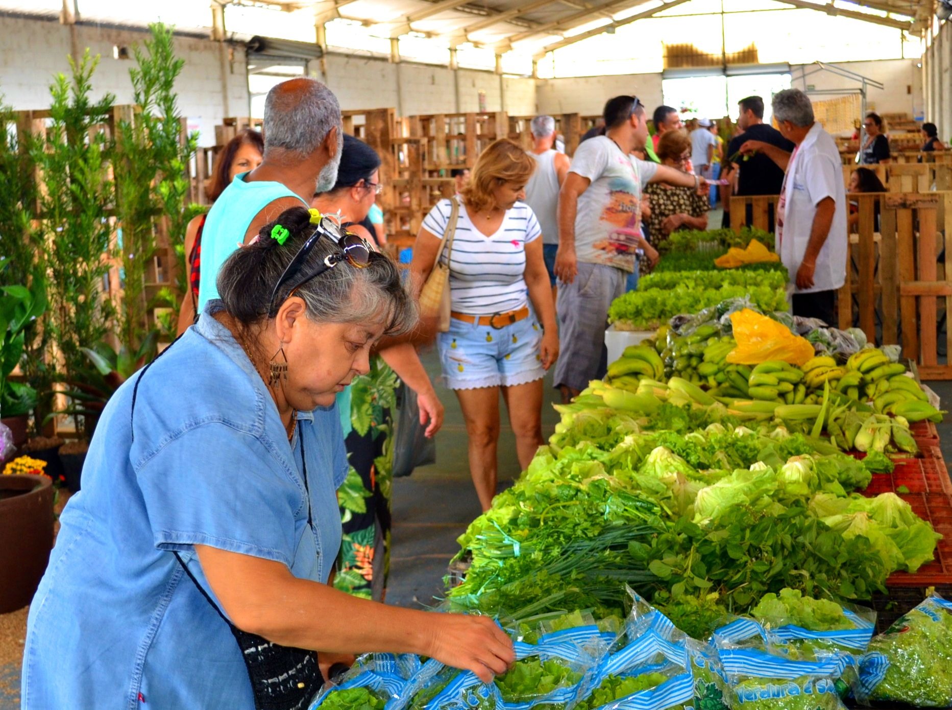 PARQUE DE EXPOSIÇÃO ABRIGA SEGUNDA EDIÇÃO DO DOMINGO RURAL