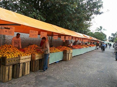 Feira de Hortifruti acontece neste fim de semana no Acesso Oeste e em Campos Elíseos