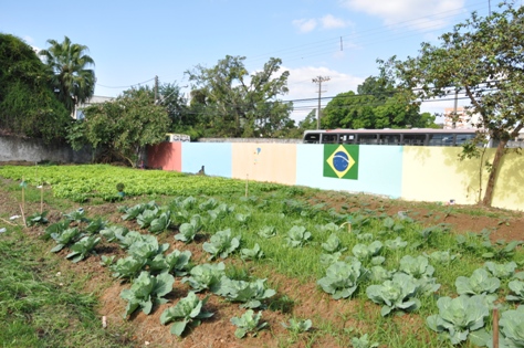 Horta da Casa da Amizade recebe orientações técnicas da Secretaria de Agricultura