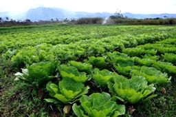 Prefeitura já capacitou cem produtores rurais