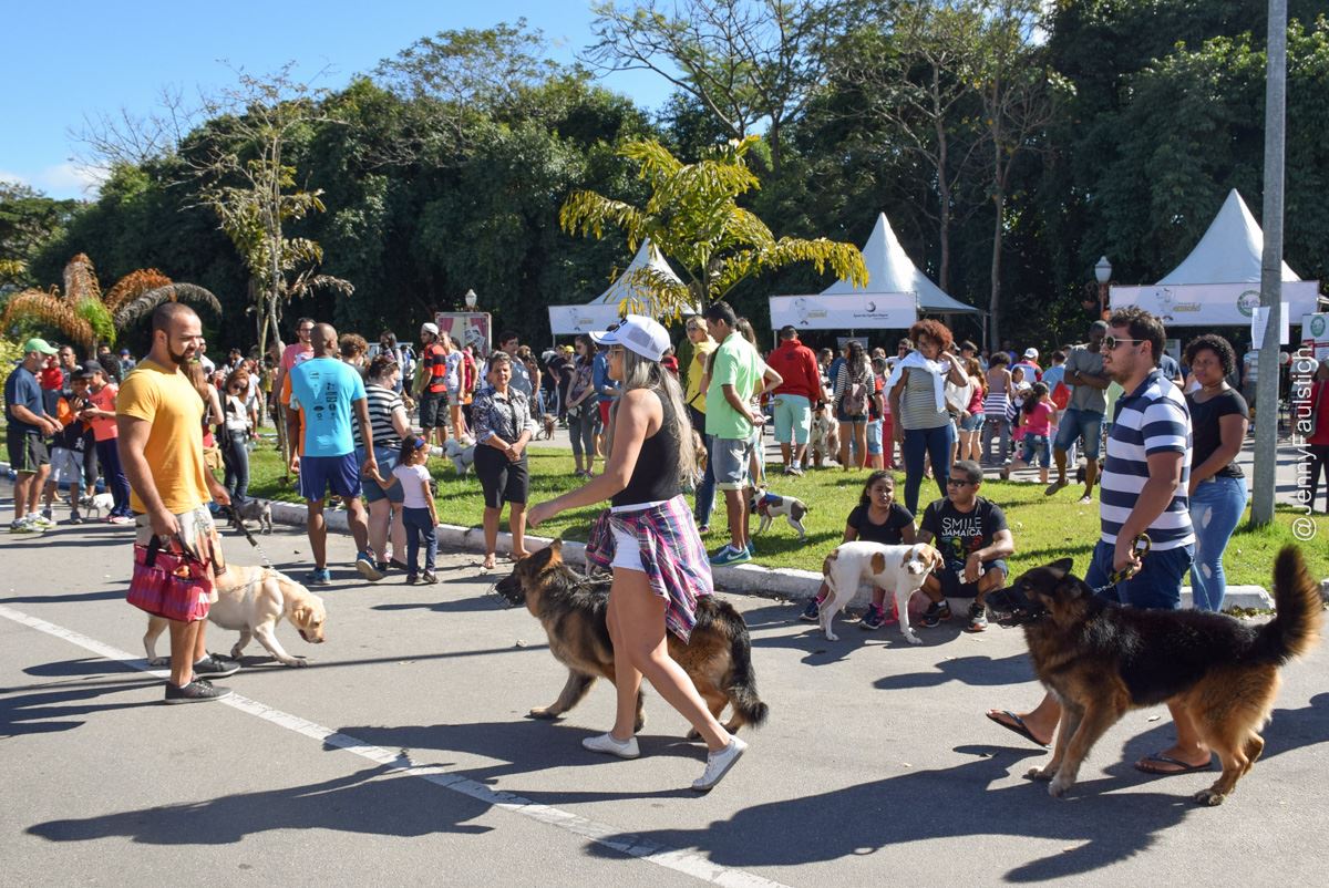 Domingo de solidariedade, esporte e cultura em Resende