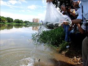 Dia da Água será comemorado em Resende com várias atividades