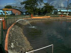 Lago do Parque das Águas recebe peixes da fauna do Rio Paraíba