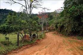 Secretaria de Obras recupera estradas na Boca do Leão e em Mauá